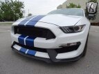 Thumbnail Photo 24 for 2017 Ford Mustang Shelby GT350